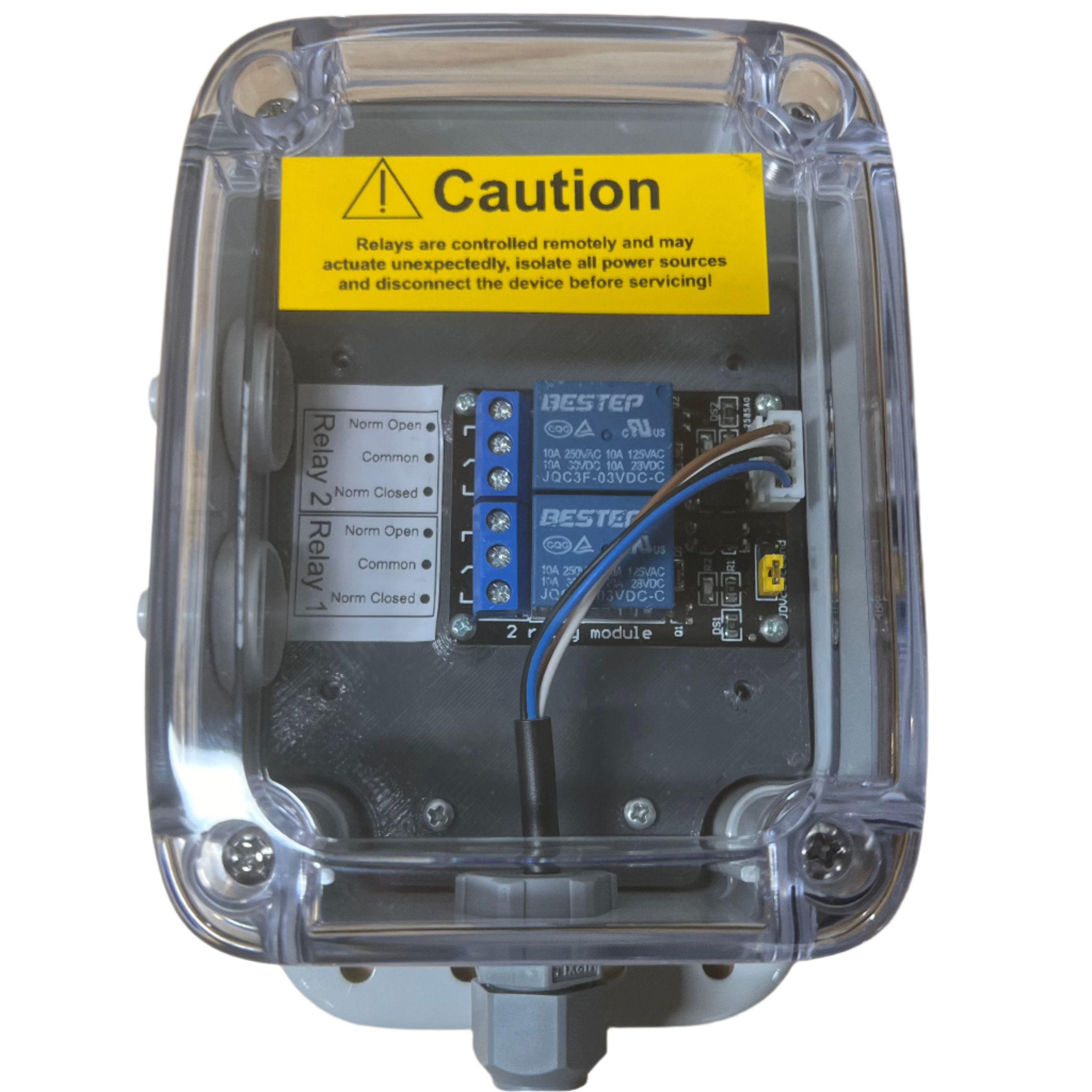 Dual relay module